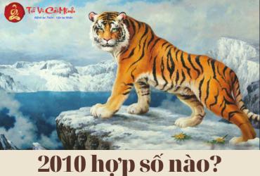 Sinh năm 2010 hợp số mấy? Sim phong thủy cho người sinh năm 2010