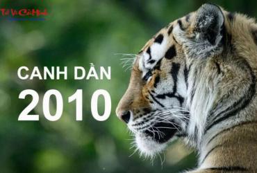 Sinh năm 2010 mua xe màu gì?