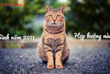 Sinh năm 2011 hợp hướng nào? - Phong thủy toàn diện cho tuổi Tân Mão
