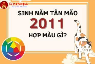 Sinh Năm 2011 Hợp Màu Gì? Chọn Màu Phong Thủy Giúp Tăng Tài Lộc Và May Mắn