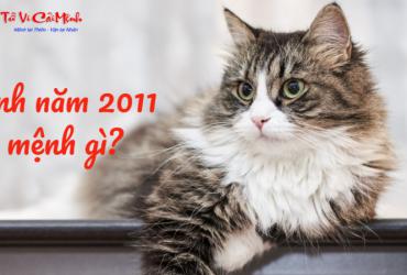 Sinh năm 2011 mệnh gì? Khám phá chi tiết mệnh Tùng Bách Mộc và vận số của tuổi Tân Mão