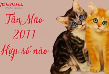 Sinh năm 2011 hợp số mấy? Sim phong thủy cho người sinh năm 2011