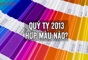 Sinh Năm 2013 Hợp Màu Gì? Chọn Màu Sắc Phong Thủy Giúp Tăng Tài Lộc Và May Mắn