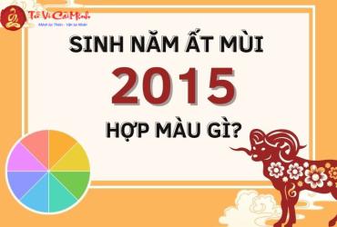 Sinh Năm 2015 Hợp Màu Gì? Chọn Màu Phong Thủy Giúp Thu Hút Tài Lộc
