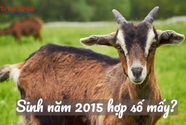 Sinh năm 2015 hợp số mấy? Sim phong thủy cho người sinh năm 2015