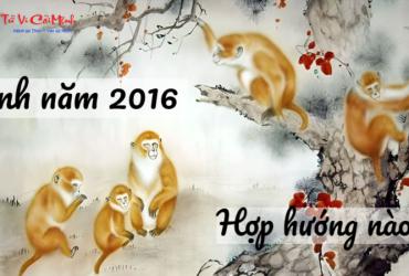 Sinh năm 2016 hợp hướng nào? Phân tích phong thủy toàn diện