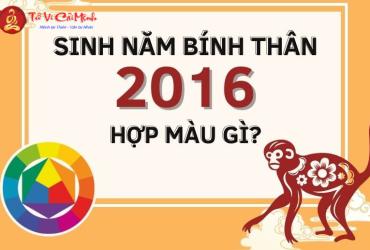 Sinh năm 2016 hợp màu gì? Bảng màu phong thủy tuổi Bính Thân chi tiết nhất