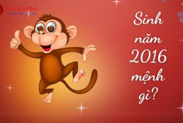 Sinh năm 2016 mệnh gì? Khám phá chi tiết mệnh Bính Thân và những điều cần biết