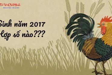 Sinh năm 2017 hợp số mấy? Sim phong thủy cho người sinh năm 2017