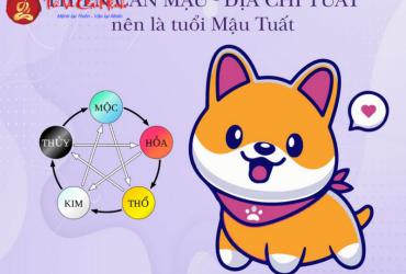 Sinh Năm 2018 Hợp Màu Gì? Chọn Màu Phong Thủy Giúp Gia Tăng May Mắn