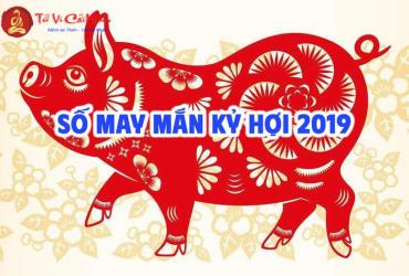 Sinh năm 2019 hợp số mấy? Sim phong thủy cho người sinh năm 2019