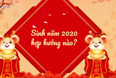 Sinh năm 2020 hợp hướng nào? Phân tích chi tiết theo Bát Trạch