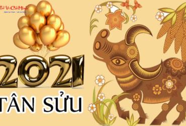 Sinh Năm 2021 Hợp Màu Gì? Chọn Đúng Màu Để Thu Hút May Mắn Và Tài Lộc!