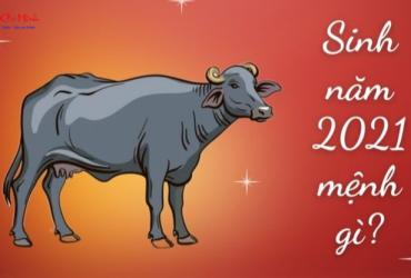 Sinh năm 2021 mệnh gì? Giải mã chi tiết vận mệnh tuổi Tân Sửu