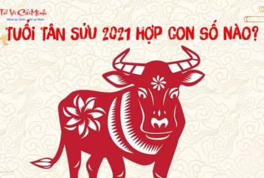 Sinh năm 2021 hợp số mấy? Sim phong thủy cho người sinh năm 2021