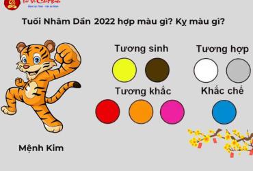 Sinh Năm 2022 Hợp Màu Gì? Chọn Đúng Màu Để Hút Tài Lộc Và May Mắn Cả Đời!