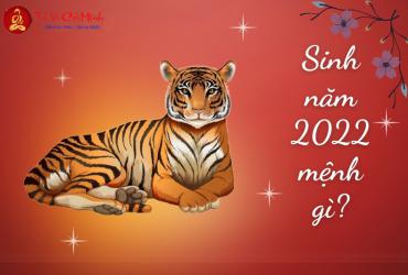 Sinh năm 2022 mệnh gì? Khám phá bản mệnh Kim Bạch Kim của tuổi Nhâm Dần