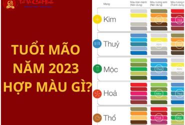 Sinh năm 2023 hợp màu gì? Bí quyết chọn màu may mắn cho tuổi Quý Mão