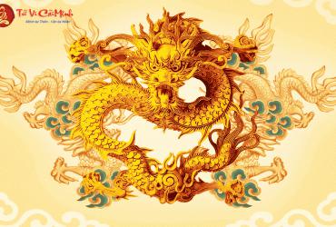 Sinh năm 2024 hợp hướng nào?