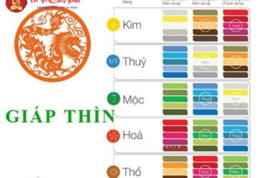 Sinh Năm 2024 Hợp Màu Gì? Chọn Màu Hợp Mệnh Giúp Thu Hút Tài Lộc
