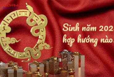 Sinh năm 2025 hợp hướng nào? - Phân tích chi tiết theo Bát Trạch