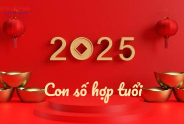 Sinh năm 2025 hợp số mấy? Sim phong thủy cho người sinh năm 2025