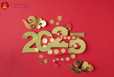 Sinh năm 2025 mua xe màu gì?