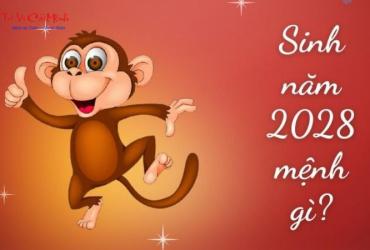 Sinh Năm 2028 Mệnh Gì? Tử Vi, Tính Cách, Hợp Tuổi - Hướng - Màu Chi Tiết