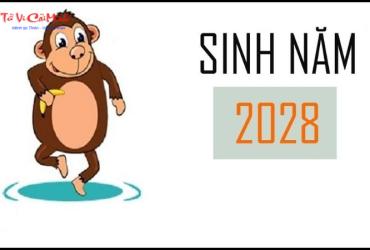 Sinh năm 2028 hợp số mấy? Sim phong thủy cho người sinh năm 2028