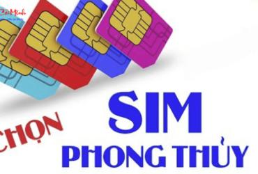 Sinh năm 2029 hợp số mấy? Sim phong thủy cho người sinh năm 2029