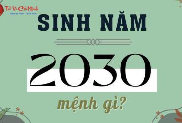 Tuổi Canh Tuất 2030 – Khám Phá Vận Mệnh Và Bí Quyết Mệnh Kim