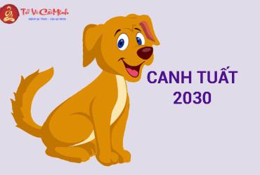 Sinh năm 2030 mua xe màu gì?