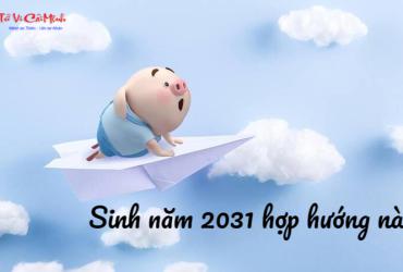 Sinh năm 2031 hợp hướng nào? Hướng dẫn đầy đủ theo phong thủy