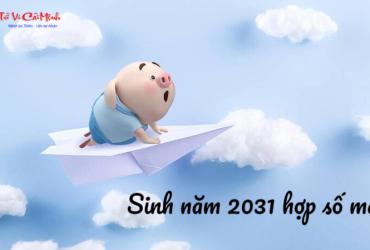 Sinh năm 2031 hợp số mấy? Sim phong thủy cho người sinh năm 2031