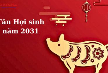Sinh năm 2031 mua xe màu gì? Bật mí màu xe hợp phong thủy cho tuổi Tân Hợi