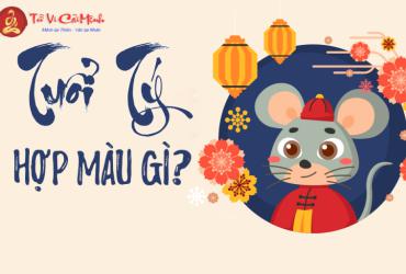 Sinh Năm 2032 Hợp Màu Gì? Chọn Màu Phong Thủy Để Gặp May Mắn