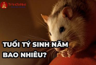 Sinh năm 2032 mệnh gì? Khám phá vận mệnh Tang Đố Mộc của tuổi Nhâm Tý
