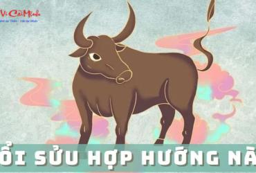 Sinh năm 2033 hợp hướng nào? Giải mã toàn diện phong thủy hướng nhà cho người Quý Tỵ