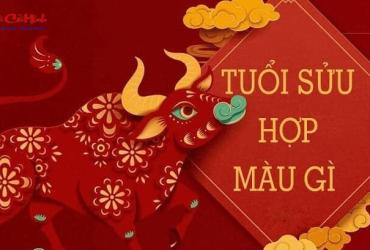 Sinh năm 2033 hợp màu gì? Bật mí màu sắc tương hợp mang lại may mắn