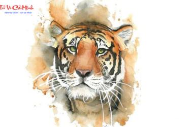 Sinh năm 2034 hợp số mấy? Sim phong thủy cho người sinh năm 2034