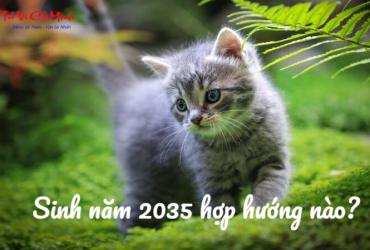 Sinh năm 2035 hợp hướng nào? Phân tích toàn diện từ góc độ phong thủy