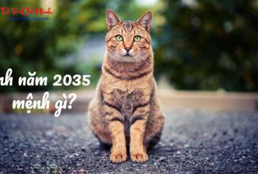 Giải Mã Vận Mệnh Tuổi Ất Mão 2035 – Bí Quyết Mệnh Thủy
