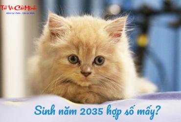 Sinh năm 2035 hợp số mấy? Sim phong thủy cho người sinh năm 2035