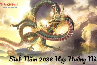 Sinh năm 2036 hợp hướng nào? Bát Trạch phong thủy cho tuổi Bính Thìn