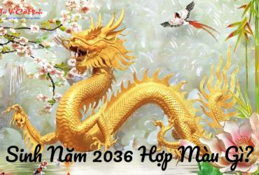 Sinh năm 2036 hợp màu gì? Bí quyết chọn màu sắc may mắn cho người tuổi Bính Thìn