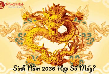 Sinh năm 2036 hợp số mấy? Sim phong thủy cho người sinh năm 2036