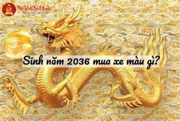 Sinh năm 2036 mua xe màu gì?