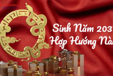 Sinh năm 2037 hợp hướng nào? Phân tích chi tiết theo phong thủy