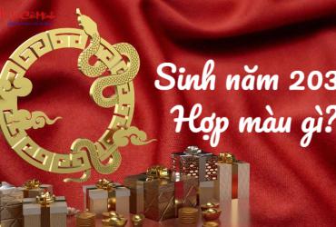 Sinh năm 2037 hợp màu gì? Bí quyết chọn màu sắc may mắn theo phong thủy