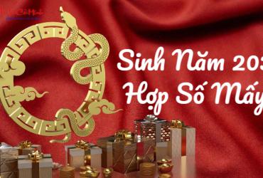 Sinh năm 2037 hợp số mấy? Sim phong thủy cho người sinh năm 2037